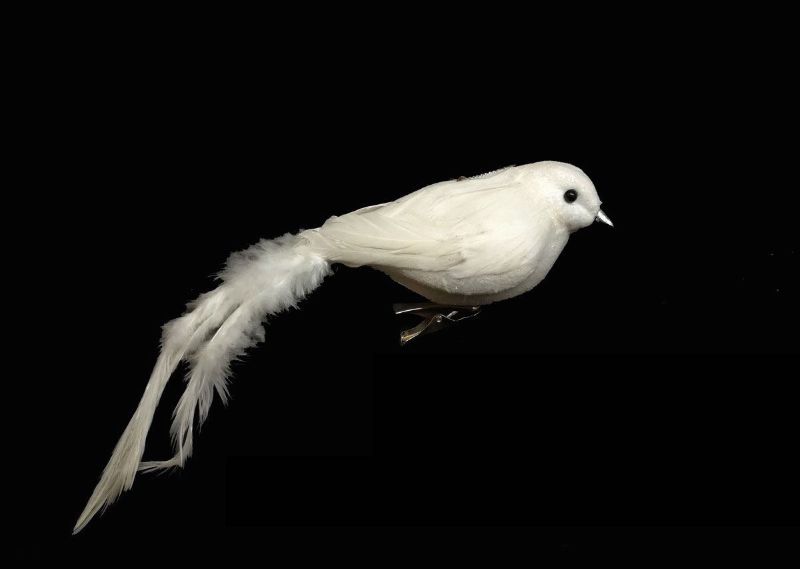 Long Tail Dove Ornament in white, 18 cm long, symbolizes peace and elegance, perfect for home decor or gifting.