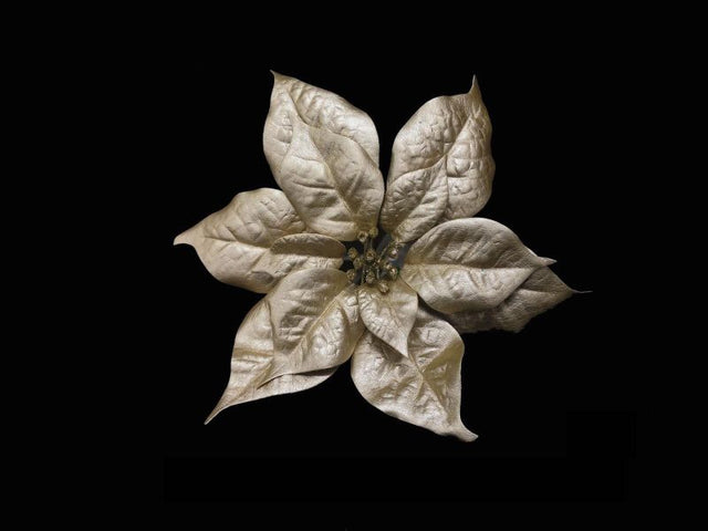Gold artificial poinsettia head on pick, perfect for elegant holiday decor and versatile arrangements without maintenance.