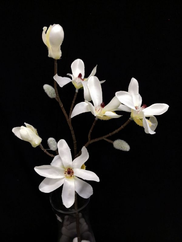 Lifelike cream Artificial Star Magnolia Stem, perfect for elegant home decor and floral arrangements.
