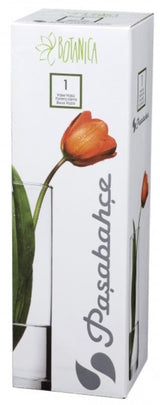 Set of 6 tall glass tube vases (26.5cm) with stable bases, perfect for showcasing floral arrangements in modern decor.